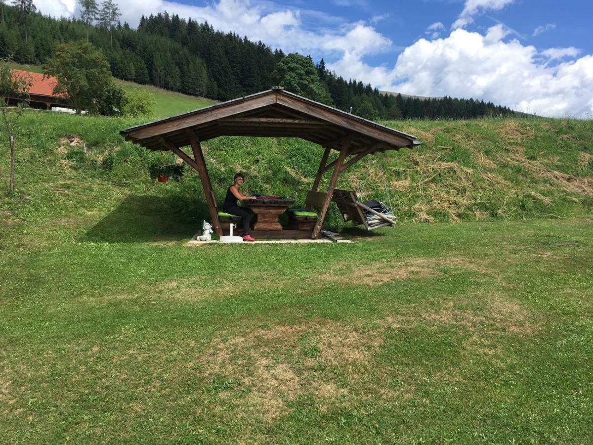 MühlenUrlaub Am Moarbauerhofアパートメント エクステリア 写真