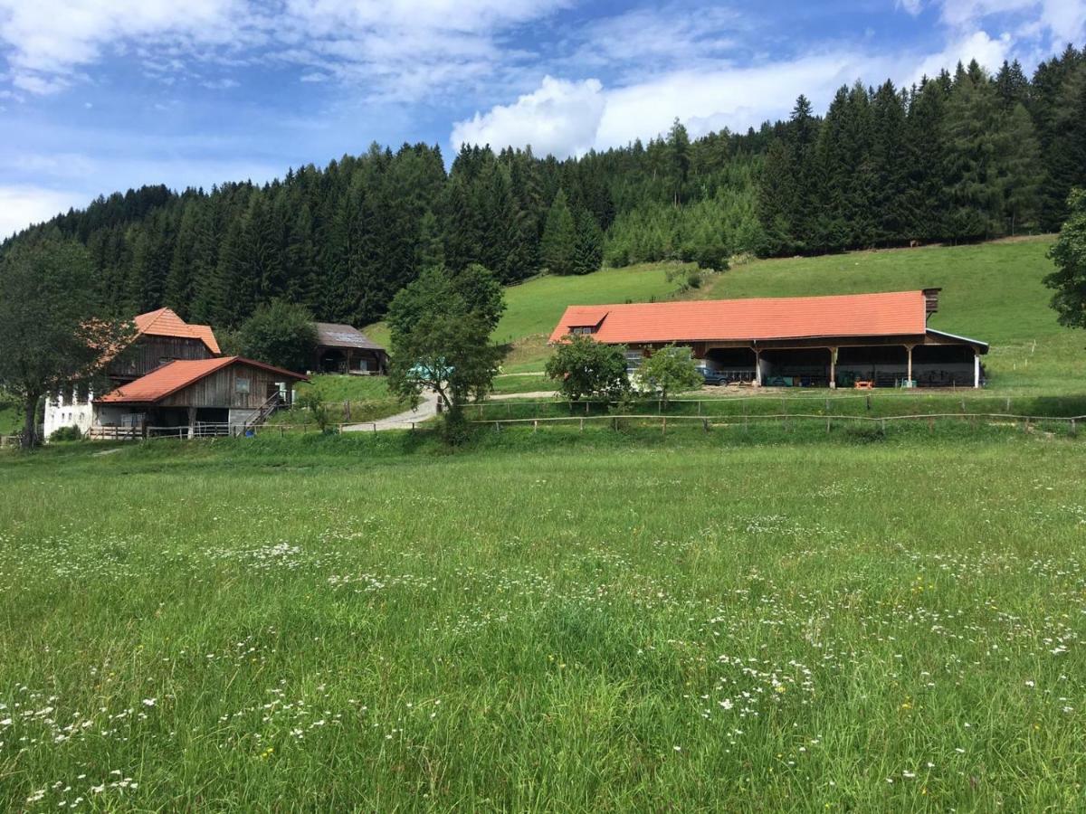 MühlenUrlaub Am Moarbauerhofアパートメント エクステリア 写真